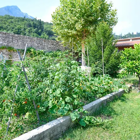 Bed & Breakfast Il Nido Dei Gufi Toscolano Maderno