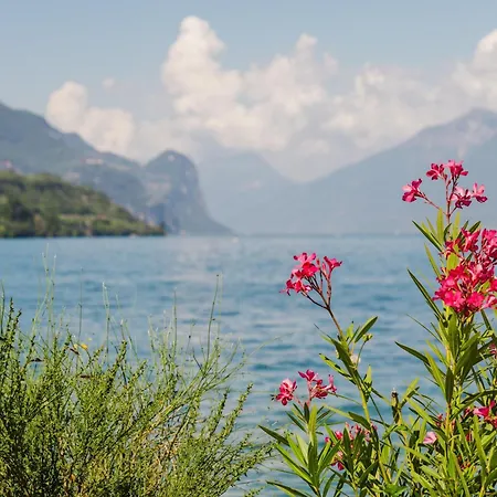 Bed & Breakfast Il Nido Dei Gufi Toscolano Maderno